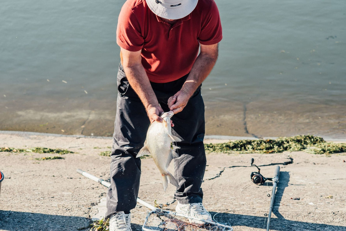 Reading Water Instead of Luck: How Fish Position Changes Throughout the Day