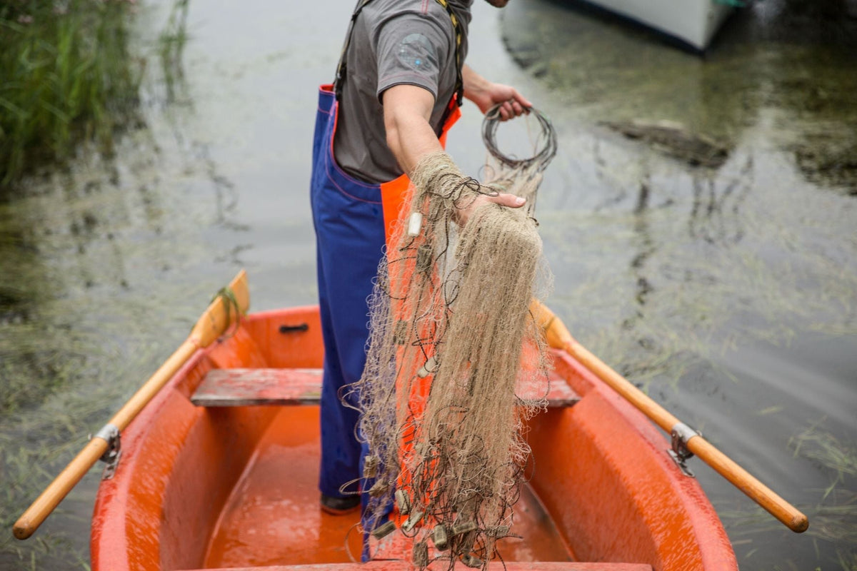 Fishing Pressure Explained: Why Popular Lakes Suddenly Stop Producing Fish