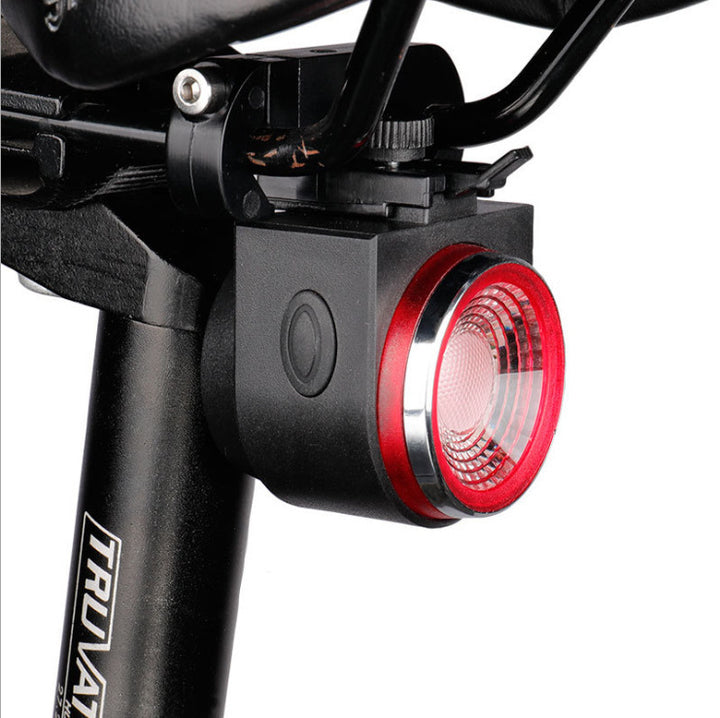 Bike Rear Light With Intelligent Sensor, Anti-theft Alarm, USB Rechargeable, Flash - Blue Force Sports