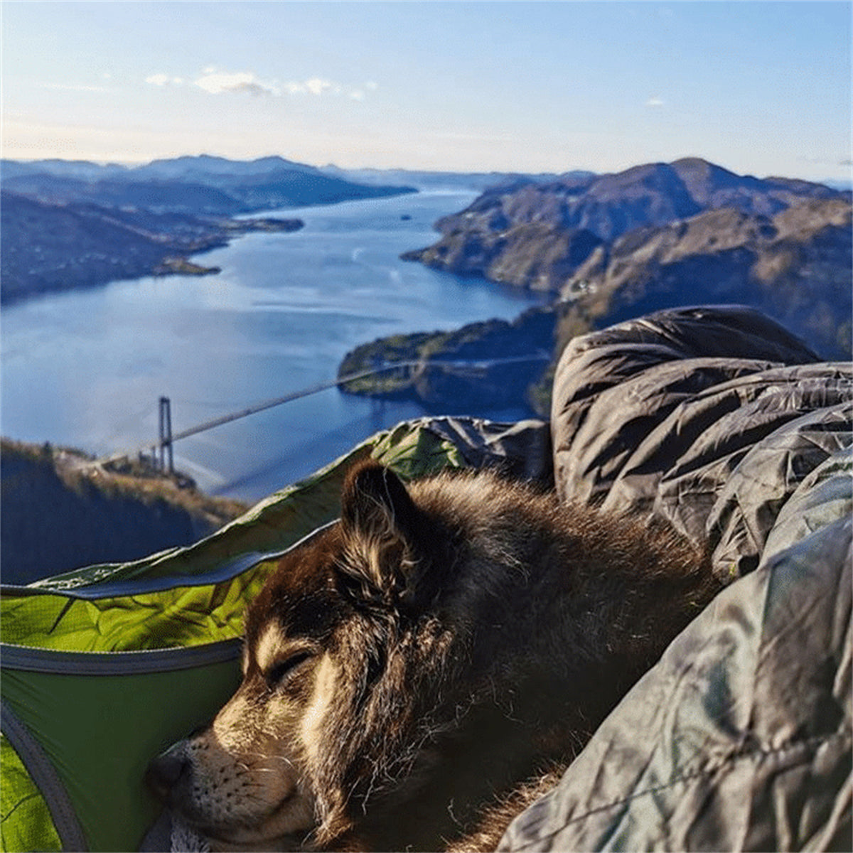 Flat Sleep Hammock Tent With Bug Net And Suspension Kit Outdoor Camp Super Long Camping Portable Hammock - Blue Force Sports