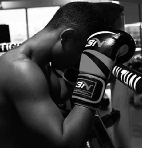 Adult boxing gloves - Blue Force Sports
