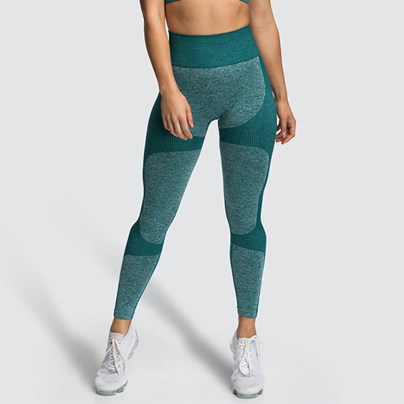 High Elastic Fitness Leggings - Blue Force Sports