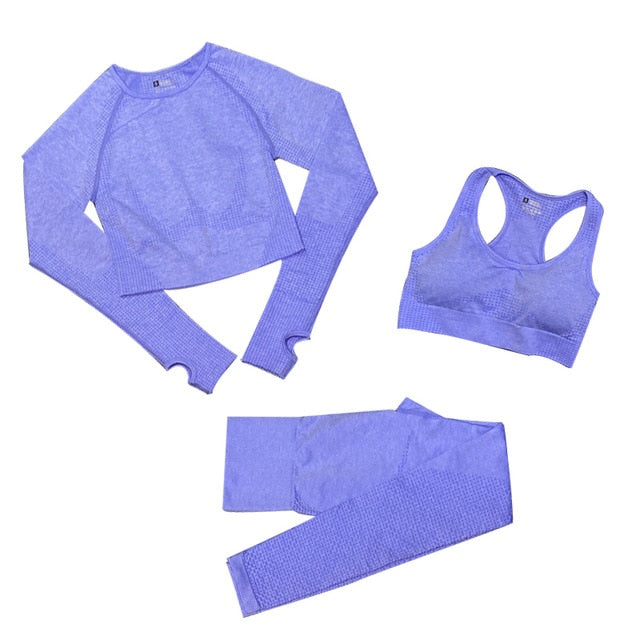 Women's Seamless Gym Leggings, Top, Longsleeve and Shorts Set - Blue Force Sports