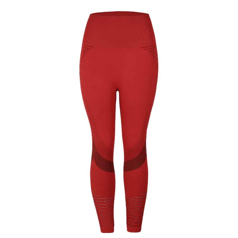 Seamless Sports Shorts and Leggings - Blue Force Sports