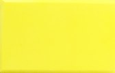 EVA Colorful Blocks for Yoga - Blue Force Sports