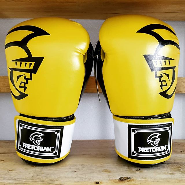 Pretorian Printed Boxing Gloves - Blue Force Sports
