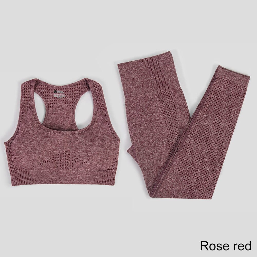 Elastic Seamless Yoga Set for Women - Blue Force Sports