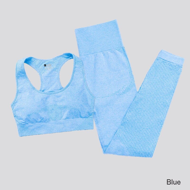 Elastic Seamless Yoga Set for Women - Blue Force Sports