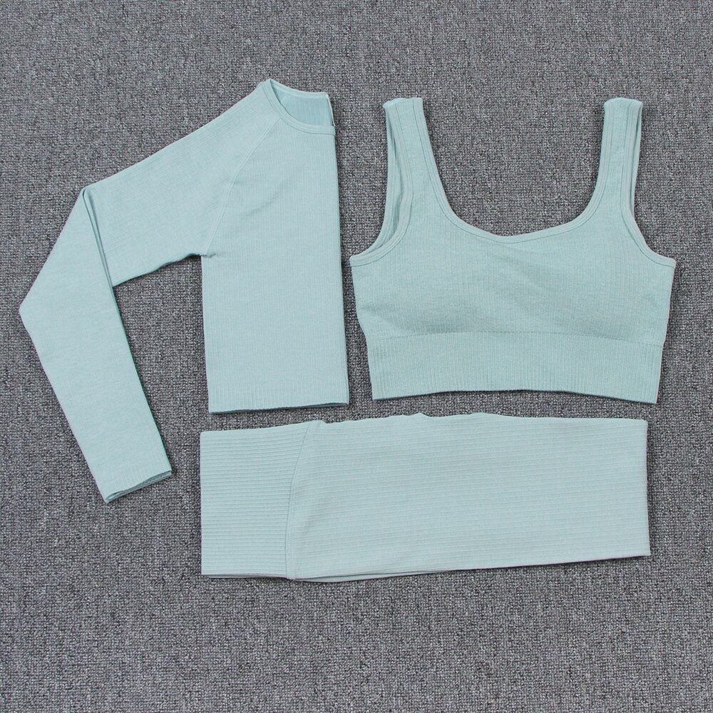 Women's Solid Color Sports Leggings and Bra Set - Blue Force Sports