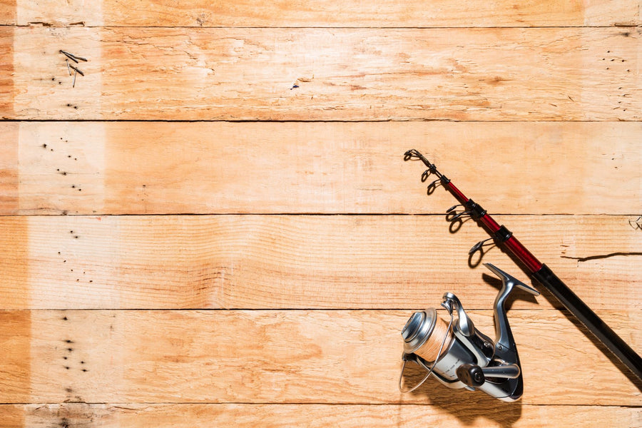 Casting Dreams: A Comprehensive Guide to Fishing Rods and Tackle Selection