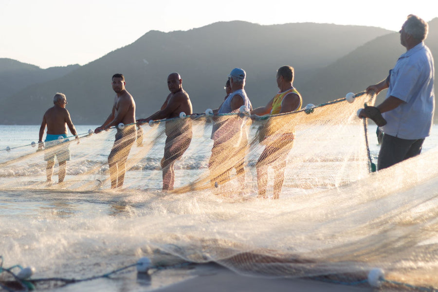 Mastering the Catch: A Comprehensive Guide to Fishing Nets