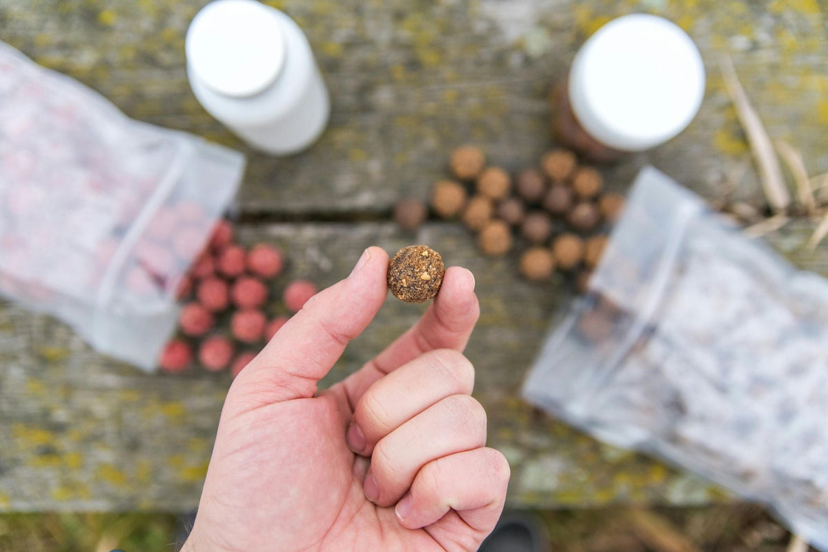 Best Fishing Baits: Top Choices for Freshwater and Saltwater Success
