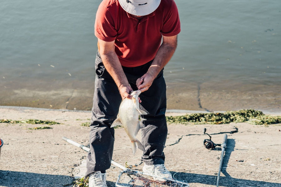 Reading Water Instead of Luck: How Fish Position Changes Throughout the Day