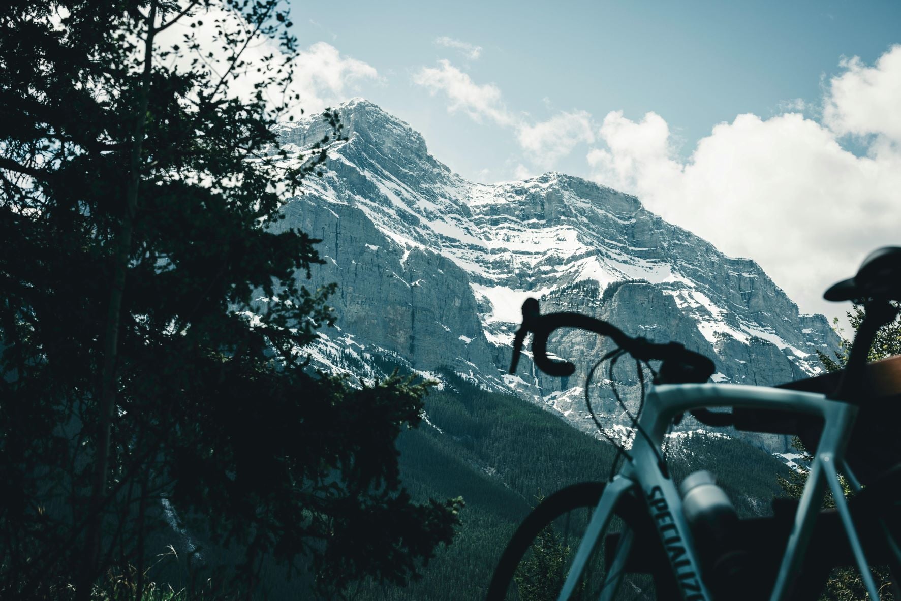 Mountain Bike Grips and Safety Tips: Prevent Slips and Enjoy Safer Rid ...