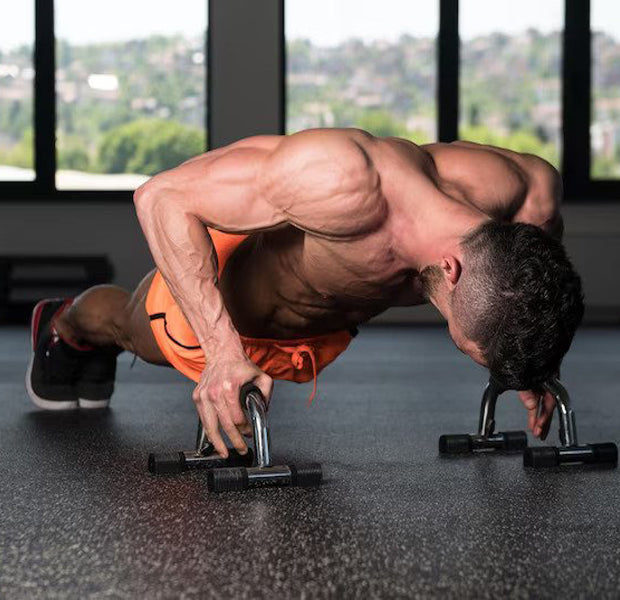 Push-Ups Stands – Blue Force Sports