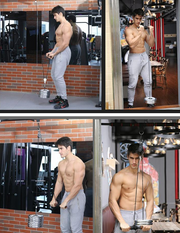 Jack fitness equipment - Blue Force Sports