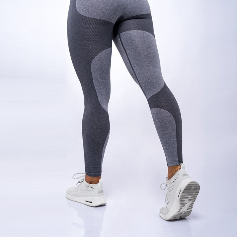 High Elastic Fitness Leggings - Blue Force Sports