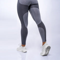 High Elastic Fitness Leggings - Blue Force Sports
