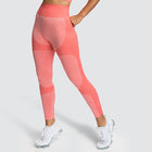 High Elastic Fitness Leggings - Blue Force Sports