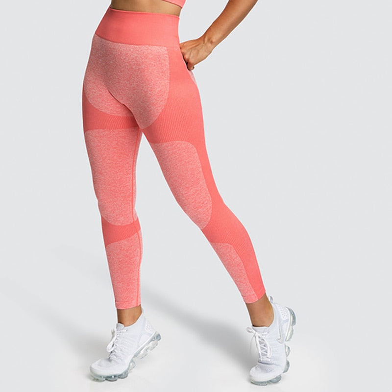 High Elastic Fitness Leggings - Blue Force Sports