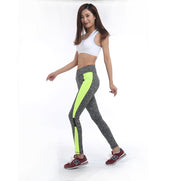 High Waist Leggings for Women - Blue Force Sports