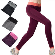 Women's Seamless Yoga Pants - Blue Force Sports