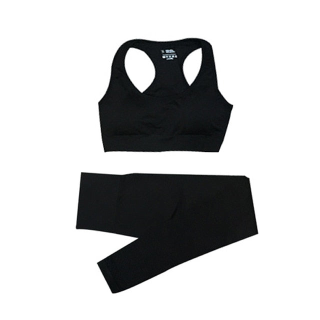 Women's Seamless Gym Leggings, Top, Longsleeve and Shorts Set - Blue Force Sports