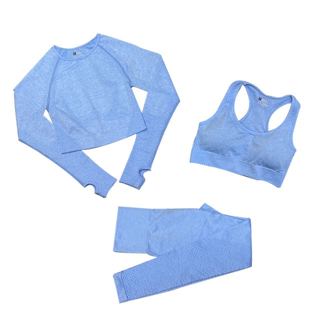 Women's Seamless Gym Leggings, Top, Longsleeve and Shorts Set - Blue Force Sports