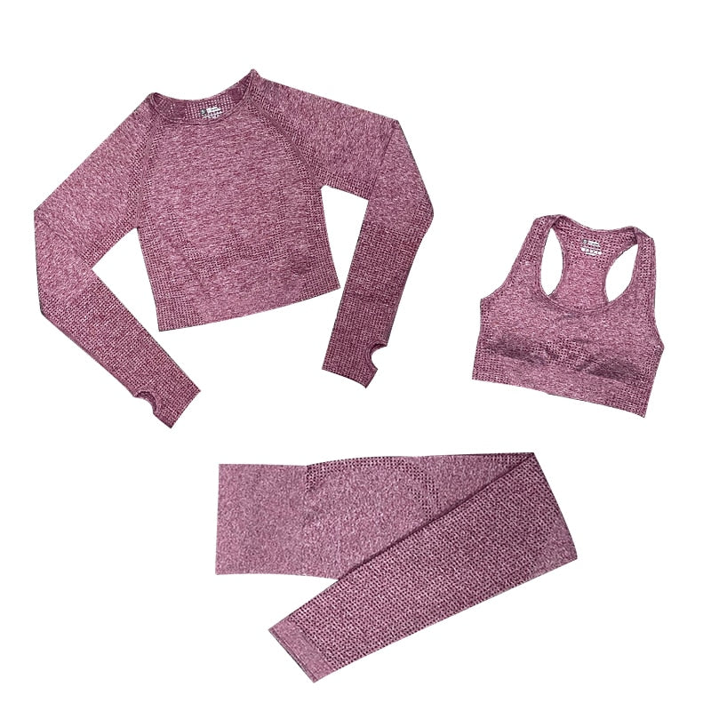 Women's Seamless Gym Leggings, Top, Longsleeve and Shorts Set - Blue Force Sports
