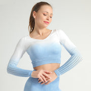 Women's Gradient Color Seamless Crop Top - Blue Force Sports
