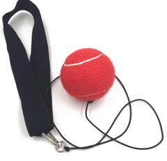 Fight Ball With Head Band For Reaction Speed Training - Blue Force Sports