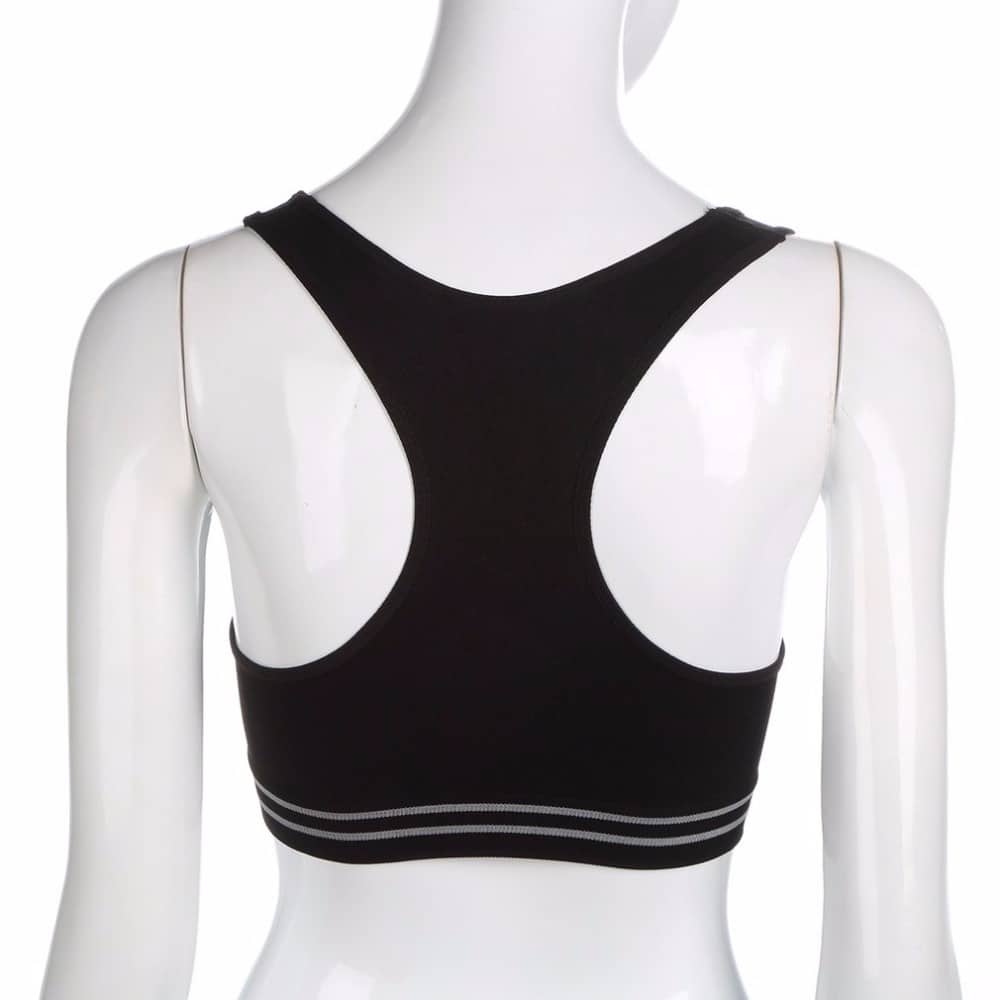 Seamless Padded Cotton Sports Bra - Blue Force Sports