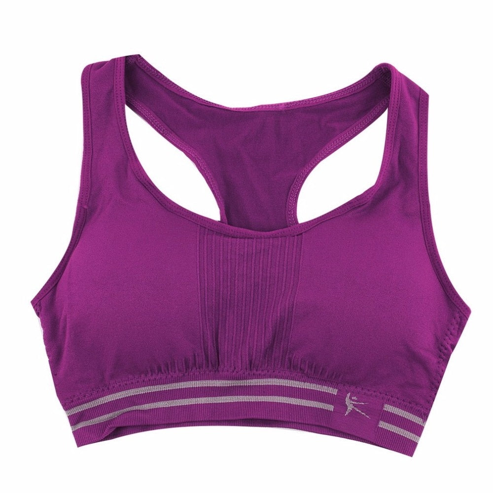 Seamless Padded Cotton Sports Bra - Blue Force Sports