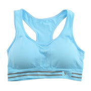 Seamless Padded Cotton Sports Bra - Blue Force Sports