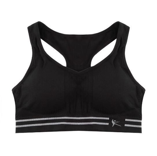 Seamless Padded Cotton Sports Bra - Blue Force Sports