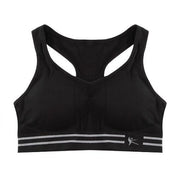 Seamless Padded Cotton Sports Bra - Blue Force Sports