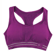Seamless Padded Cotton Sports Bra - Blue Force Sports