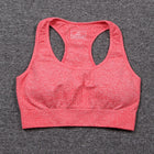 Women's Melange Color Sports Bra - Blue Force Sports