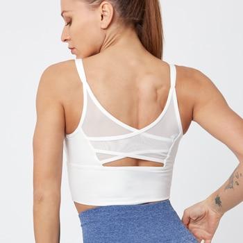 Women's Sheer Detail High Impact Gym Bra - Blue Force Sports