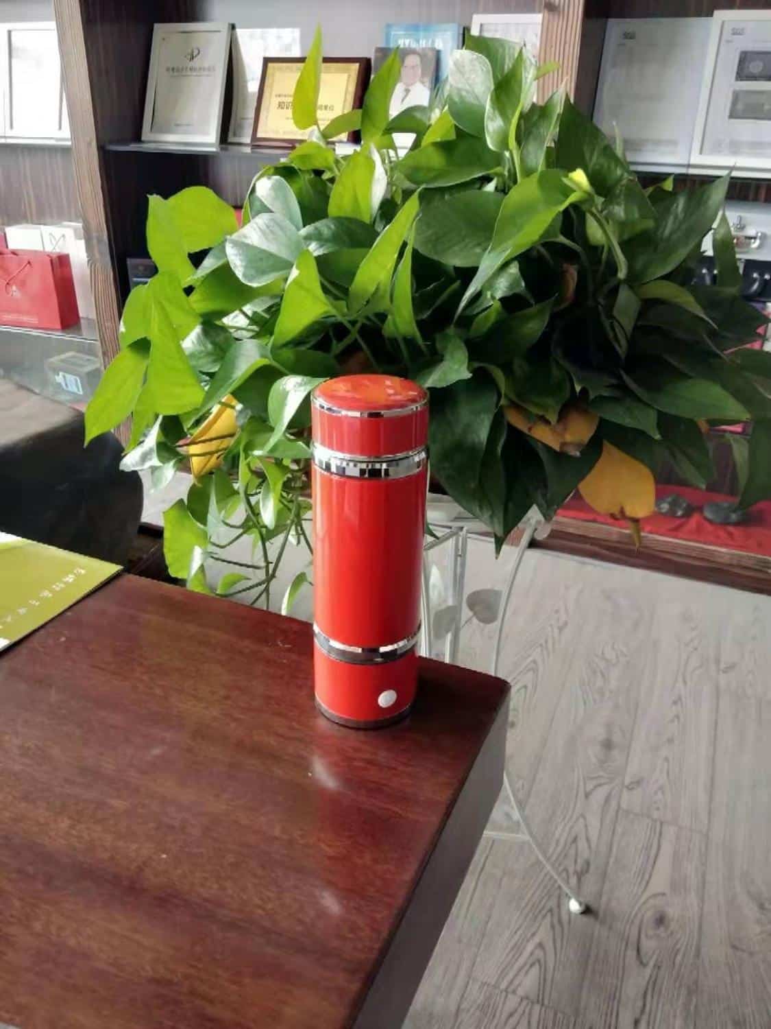 Stainless Steel Alkaline Water Bottle - Blue Force Sports