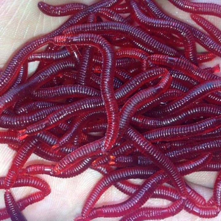 Dark Red Worms Fishing Lure - Blue Force Sports