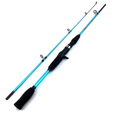 Carbon Fiber and Fiberglass Fishing Rod
