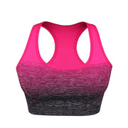 Women's Elastic Fitness Bra - Blue Force Sports