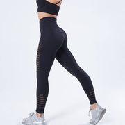 Seamless Sports Shorts and Leggings - Blue Force Sports