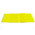 Elastic Rubber Resistance Bands - Blue Force Sports