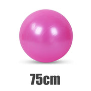Explosion-Proof PVC Yoga Ball - Blue Force Sports