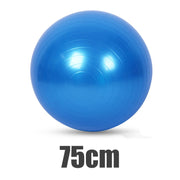 Explosion-Proof PVC Yoga Ball - Blue Force Sports