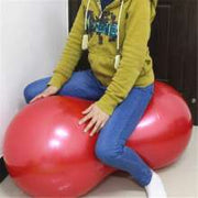 Peanut Pilates Ball - Blue Force Sports