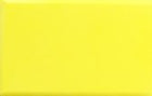 EVA Colorful Blocks for Yoga - Blue Force Sports