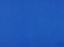 EVA Colorful Blocks for Yoga - Blue Force Sports